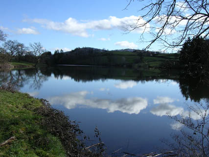 L'Etang des Grands Moulins