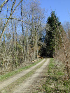 L'ancienne ligne de chemin de fer