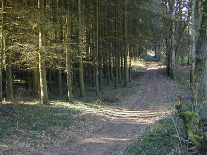 Chemin des Claies  La Prasle