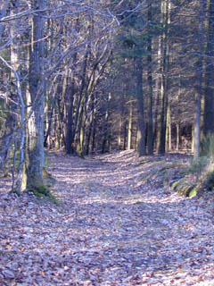 Chemin  Gillette
