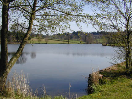 L'Etang du Palais